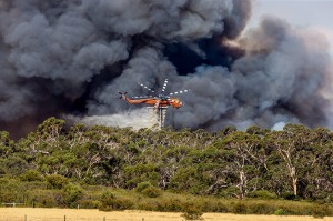 Crib Point Fire 2 019